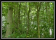 Bluebird Cabin at Muskingum Woods property photo