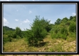 Tract 2 - Wayne National Retreat property photo