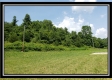 More of Tract 2 - Wayne National Retreat