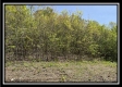 Tract 2 - Wayne National Retreat property photo