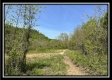 Tract 2 - Wayne National Retreat property photo