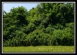 Tract 3 - Wayne National Retreat property photo