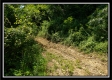 Tract 3 - Wayne National Retreat property photo