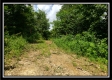 Tract 3 - Wayne National Retreat property photo