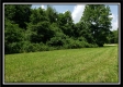 Tract 3 - Wayne National Retreat property photo