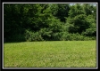 Tract 3 - Wayne National Retreat property photo