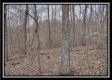 Coalton Wildlife Retreat property photo