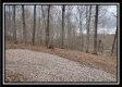Coalton Wildlife Retreat property photo