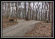 Coalton Wildlife Retreat property photo
