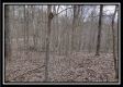 Coalton Wildlife Retreat property photo