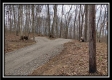 Coalton Wildlife Retreat property photo