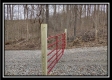 Coalton Wildlife Retreat property photo