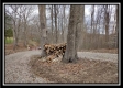 Coalton Wildlife Retreat property photo