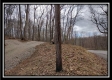 Coalton Wildlife Retreat property photo
