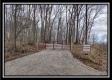 More of Coalton Wildlife Retreat
