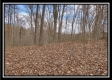 More of Coalton Wildlife Retreat