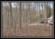 Coalton Wildlife Retreat property photo