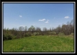 Tract 10 – Muskingum Woods property photo