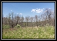 Tract 10 – Muskingum Woods property photo