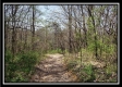 Tract 10 – Muskingum Woods property photo
