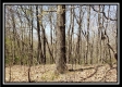 Tract 10 – Muskingum Woods property photo