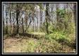 Tract 10 – Muskingum Woods property photo