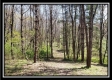 Tract 10 – Muskingum Woods property photo