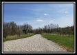 More of Tract 10 – Muskingum Woods
