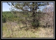 Tract 10 – Muskingum Woods property photo