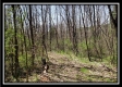 Tract 10 – Muskingum Woods property photo