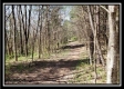 More of Tract 10 – Muskingum Woods