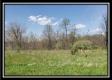 More of Tract 10 – Muskingum Woods