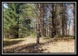 Tract 10 – Muskingum Woods property photo