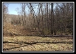 Tract 3 at The Woods at Harrison Road property photo