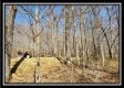 Tract 3 at The Woods at Harrison Road property photo