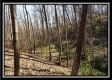 Tract 3 at The Woods at Harrison Road property photo