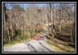 More of Tract 3 at The Woods at Harrison Road