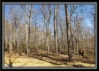 Tract 3 at The Woods at Harrison Road property photo