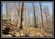 Tract 3 at The Woods at Harrison Road property photo