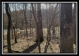 Tract 3 at The Woods at Harrison Road property photo