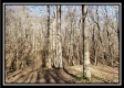 Tract 3 at The Woods at Harrison Road property photo