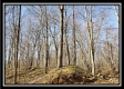 Tract 3 at The Woods at Harrison Road property photo
