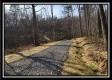 Tract 3 at The Woods at Harrison Road property photo