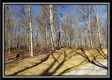 Tract 2 at Harrison Road property photo