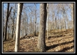Tract 2 at Harrison Road property photo