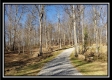 More of Tract 2 at Harrison Road