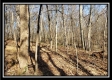 Tract 2 at Harrison Road property photo