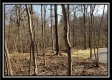Tract 2 at Harrison Road property photo