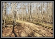 Tract 2 at Harrison Road property photo