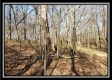 Tract 2 at Harrison Road property photo